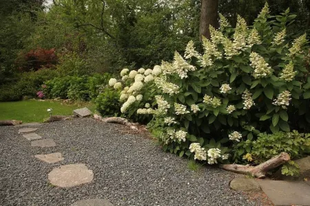 Bed & Breakfast Horsens