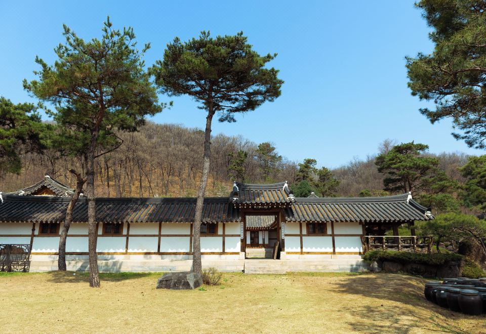 [조선 로얄 패밀리 호텔의 시즌별 야외 수영장]