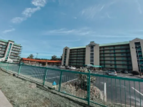 409 1卧室公寓由RedAwning