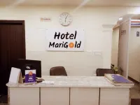 Hotel Marigold Hotels in Delhi