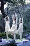 Yog Wellness Resort & Spa by Amritara - Gym