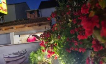 Peaceful Apartments With Style