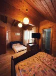 Ohana Boutique Hotel Hotels in Карцишоара