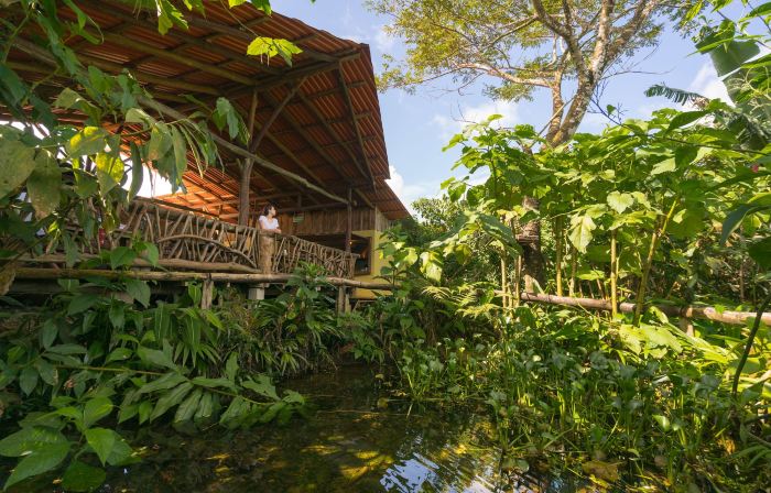 La Tigra Rainforest Lodge