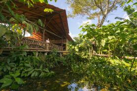 La Tigra Rainforest Lodge