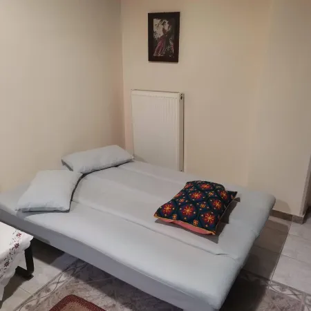 Zant House Trikala Town