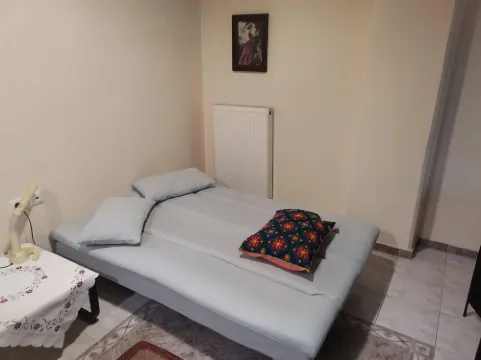 Zant House Trikala Town