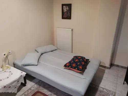 Zant House Trikala Town