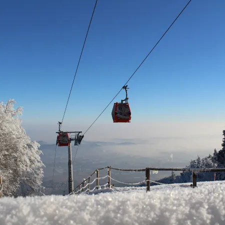 Pohorje Village Wellbeing Resort - Forest Hotel Videc