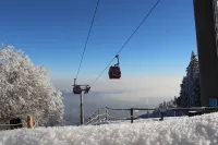 Pohorje Village Wellbeing Resort - Forest Hotel Videc - pemandangan pegunungan
