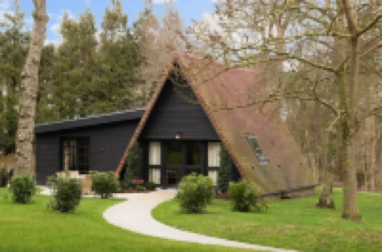 Les Pins de César - la Campagne d'Etretat Hoteles en 