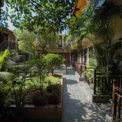 忙碌蜜蜂波克拉度假村 Hotel Exterior