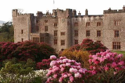 The Pennington Hotel Hotels in 