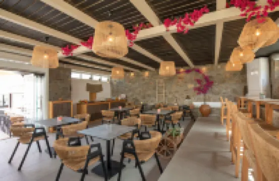 Alexandros Mykonos