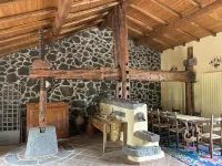 Bed and Breakfast Il Glicine Hotels in Piedimonte Etneo