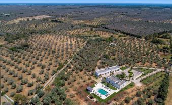 2283 Villa la Paiara by Perle di Puglia