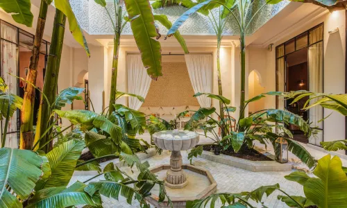 Riad Kheirredine
