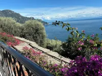 B&B I Limoni - con vista mare