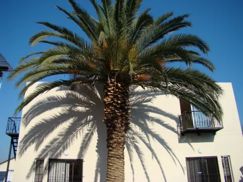 Louhallas Accommodation Hotels in Edenvale