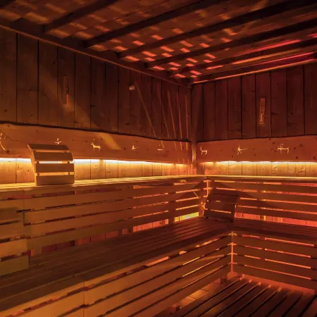 Artnatur Dolomites Hotel & Spa