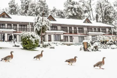 Casa del Lago Bariloche Hotels in San Carlos De Bariloche