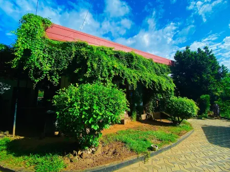 Vimanra Udawalawa Отели рядом с достопримечательностью «Bo Tree»