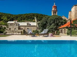Puteus Palace Brac