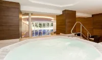 Dorint Herrenkrug Parkhotel Magdeburg - Spa