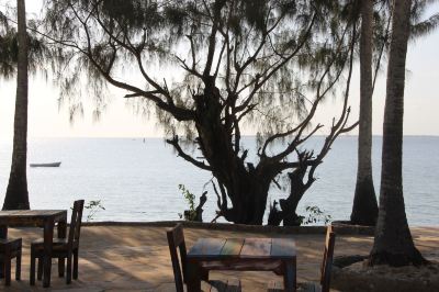 Surroundings Zanzibar Bay Resort Photo