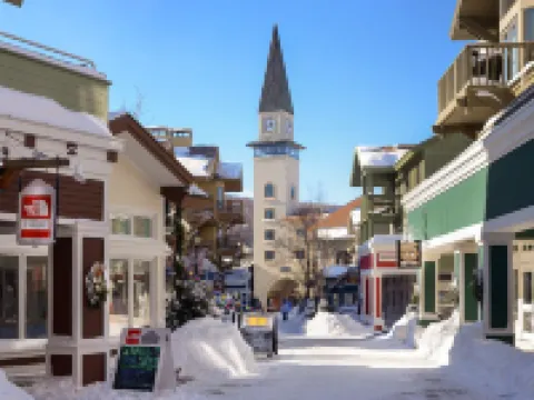 The Black Bear Lodge at Stratton Mountain Resort Hotels in Stratton Mountain