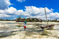 The Island Pongwe - Adult Only - en bord de mer