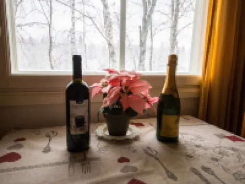 Arctic Resort Delight Hotels in Rovaniemi