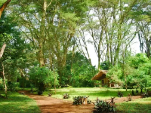 Migunga Tented Camp Hotels in Monduli