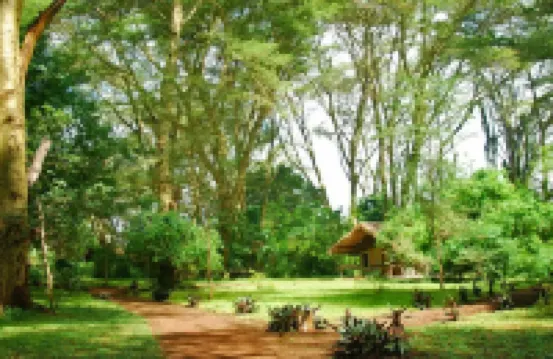 Migunga Tented Camp