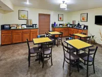 텍사스 인 앤드 스위트 레이먼드빌