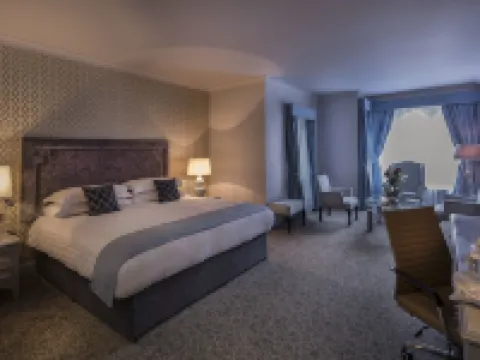 Treacys Oakwood Hotel, Shannon Hotele w: Clare