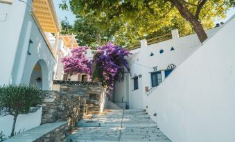 Noe Rooms In Center Of Tinos