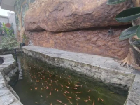 Dhee Ayurveda Resort Hotels in Malabe