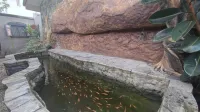 Dhee Ayurveda Resort