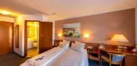Hotel Löwen Hotels in Tettnang