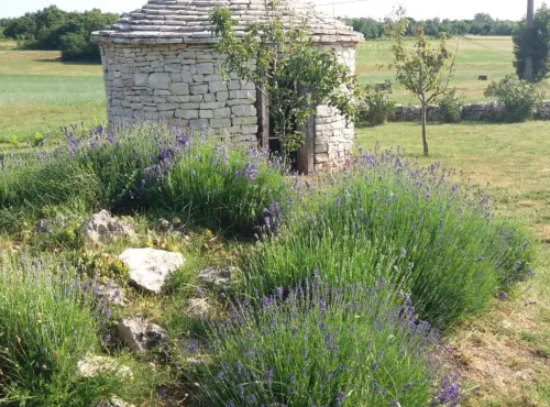 Authentic Istrian Holiday Home for Unforgettable Stays Hotels in Vodnjan