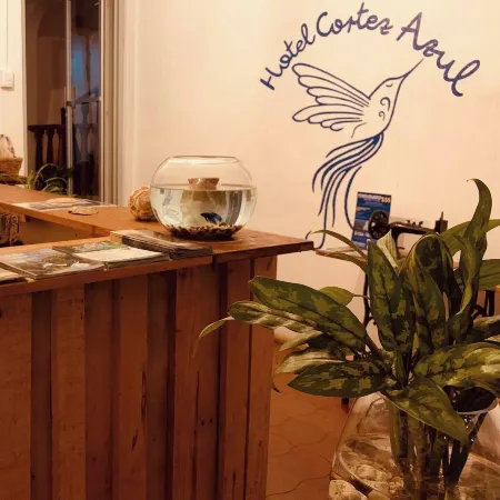 Hotel Cortez Azul Отели рядом с достопримечательностью «Зоопарк Аве»