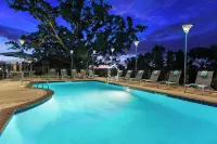 SpringHill Suites Paso Robles Atascadero Hotels in Atascadero