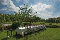 Stunning Villa: 24 guests, private SwimmingPool Hotels in Sovicille