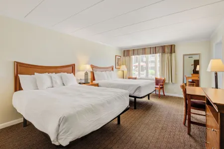 Desert Sand Resort Отели в г. Авалон