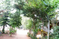 Wind Valley Các khách sạn ở 