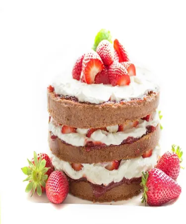 Loch Ness Drumnadrochit Hotel Отели в г. Драмнадрочит