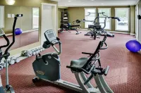 Lakeview Inns & Suites - Edson Airport West