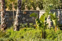 Istia Luxury Villas -  case vacanza in affitto