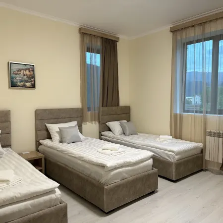 Hotel X